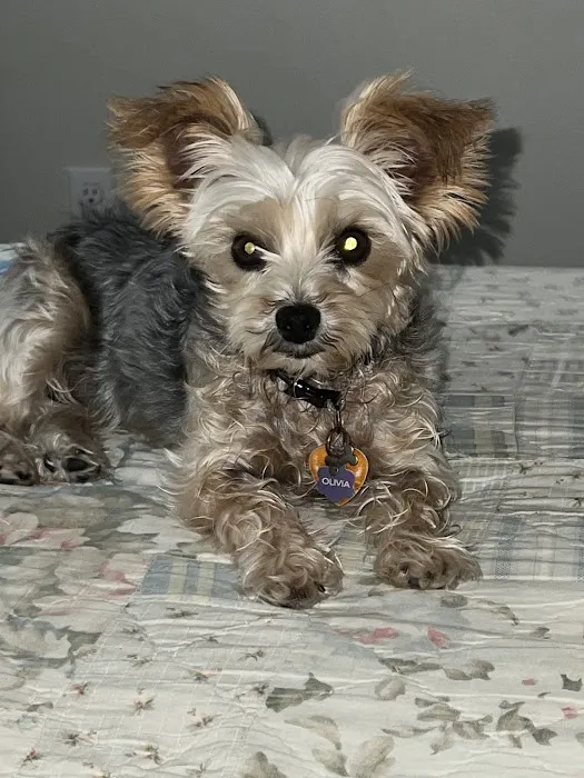 Spragg Veterinary Clinic Picture 4