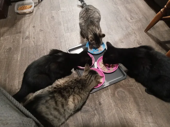 Spragg Veterinary Clinic Picture 5