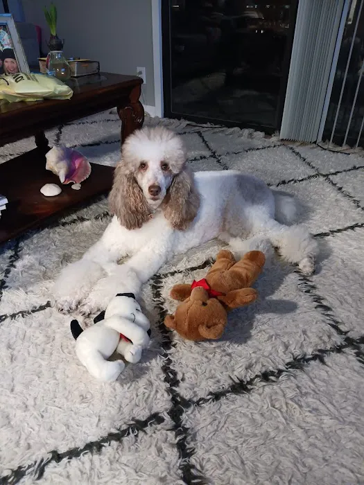 Spragg Veterinary Clinic Picture 3