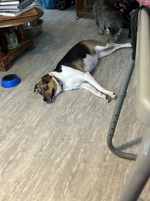 Spragg Veterinary Clinic Picture 9