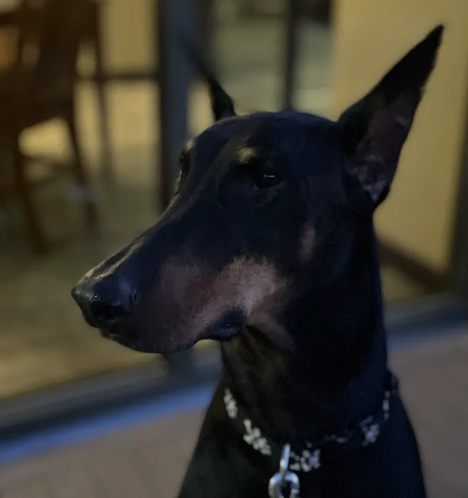 Spragg Veterinary Clinic Picture 7