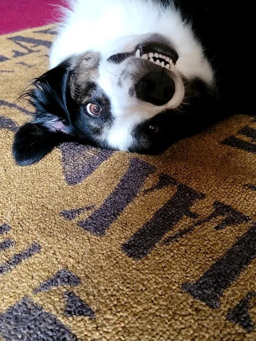 Spragg Veterinary Clinic Picture 8