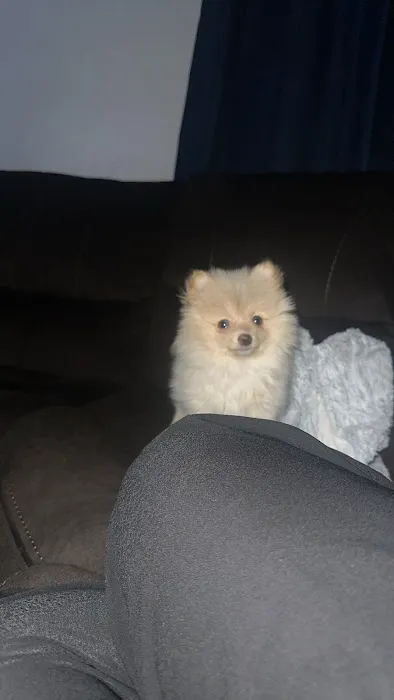 Animal Health Center Hospital & Clinic Picture 1