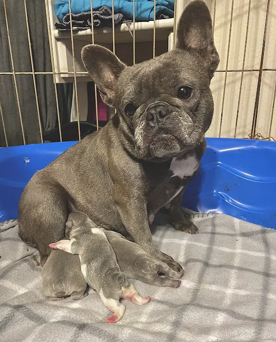 Animal Health Center Hospital & Clinic Picture 2