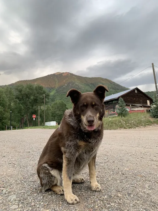 Animal Health Center Hospital & Clinic Picture 5