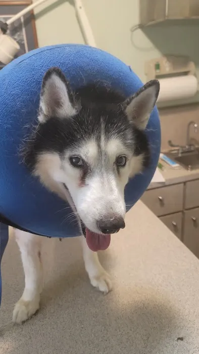 Animal Health Center Hospital & Clinic Picture 6