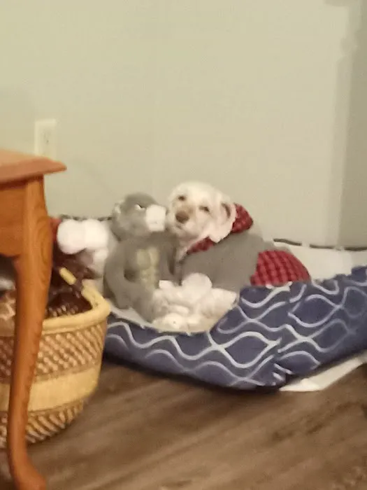 Animal Health Center Hospital & Clinic Picture 4