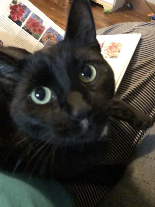 Animal Health Center Hospital & Clinic Picture 7