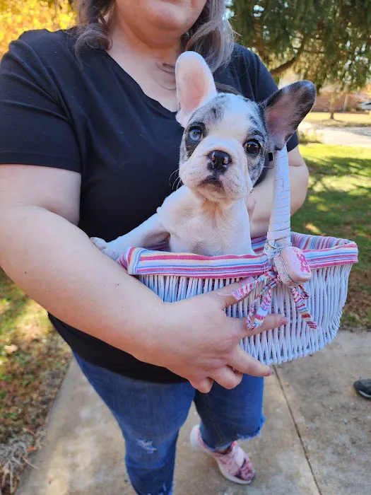 Animal Health Center Hospital & Clinic Picture 8