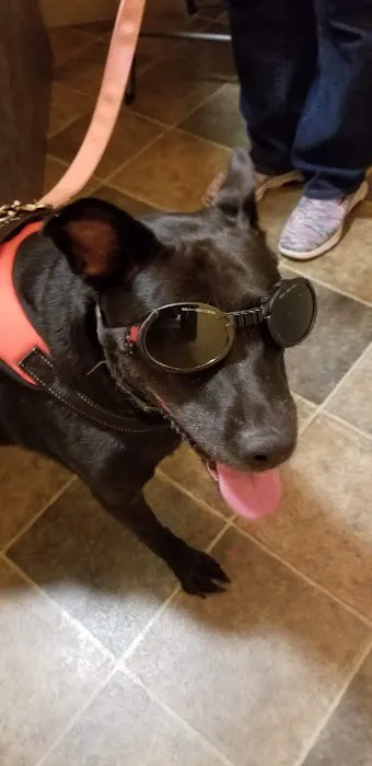 Reid R Michael DVM Picture 1