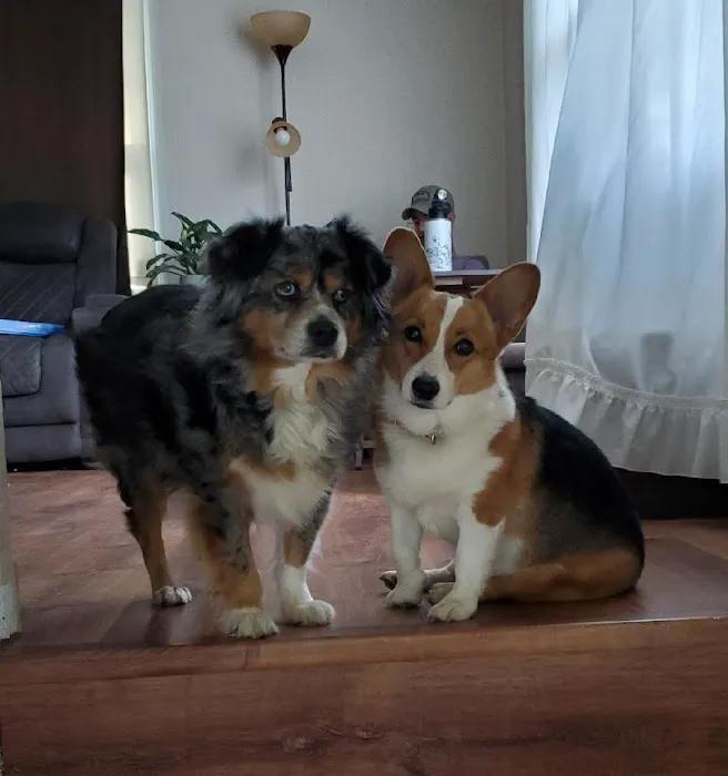 Lake Animal Clinic Picture 1