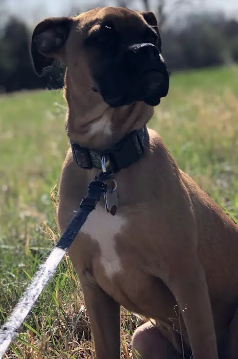 Lake Animal Clinic Picture 4