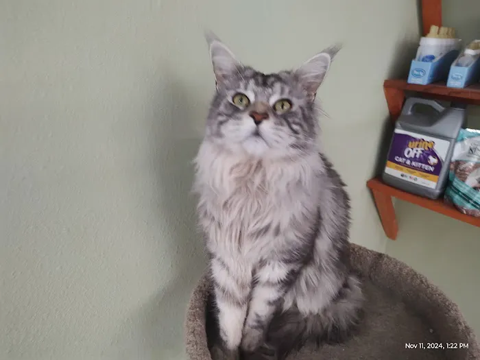 Cramer Veterinary Clinic Picture 1