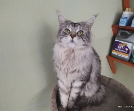 Cramer Veterinary Clinic