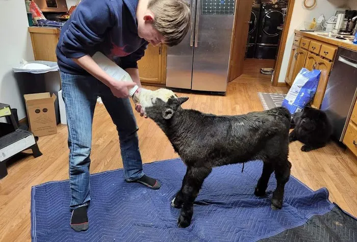 Cramer Veterinary Clinic Picture 2