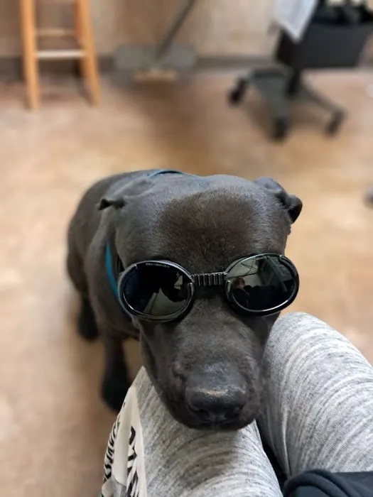 Cramer Veterinary Clinic Picture 6