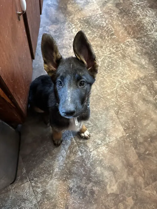 Cramer Veterinary Clinic Picture 4