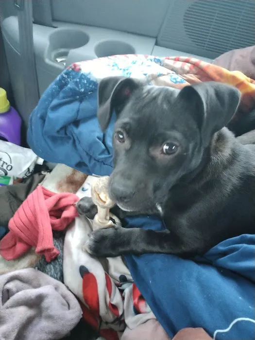 Cramer Veterinary Clinic Picture 5