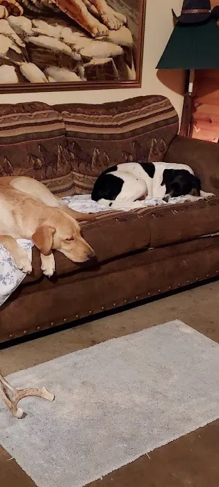 Cramer Veterinary Clinic Picture 8