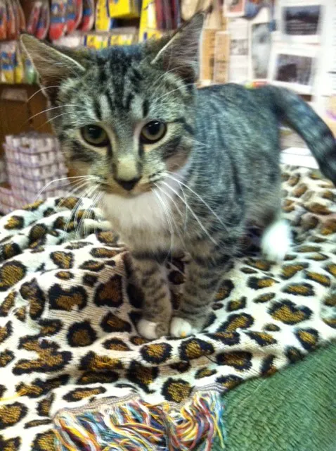 Cramer Veterinary Clinic Picture 10