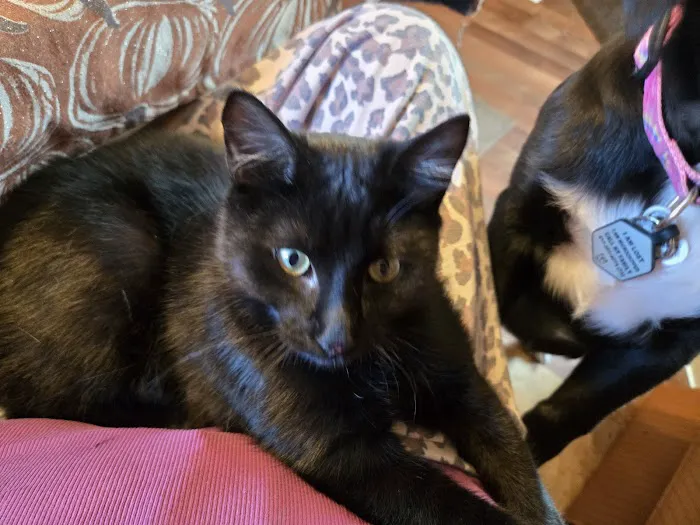 Cramer Veterinary Clinic Picture 9