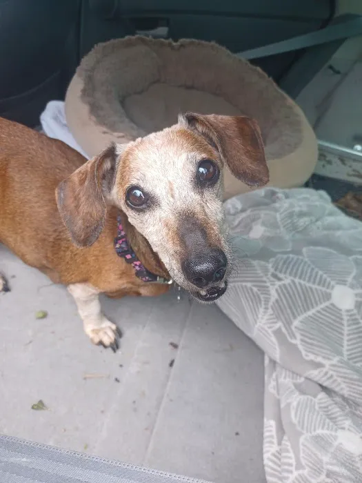 Cramer Veterinary Clinic Picture 7