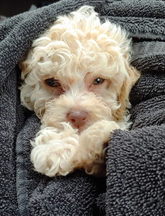 Countryside Veterinary Small Animal Clinic Picture 4