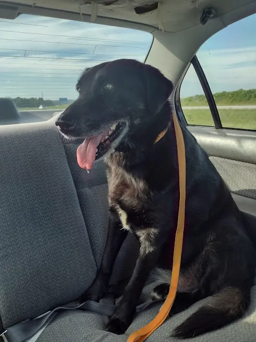 Countryside Veterinary Small Animal Clinic Picture 2