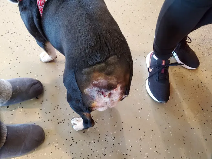 Countryside Veterinary Small Animal Clinic Picture 8