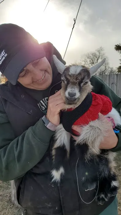 Countryside Veterinary Large Animal Clinic Picture 4