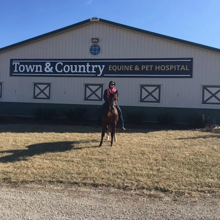 Town & Country Equine & Pet Hospital Picture 7