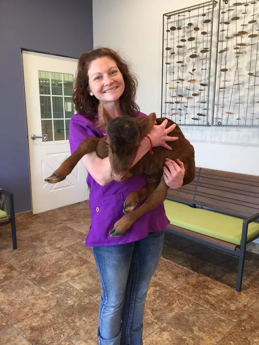 Town & Country Equine & Pet Hospital Picture 10