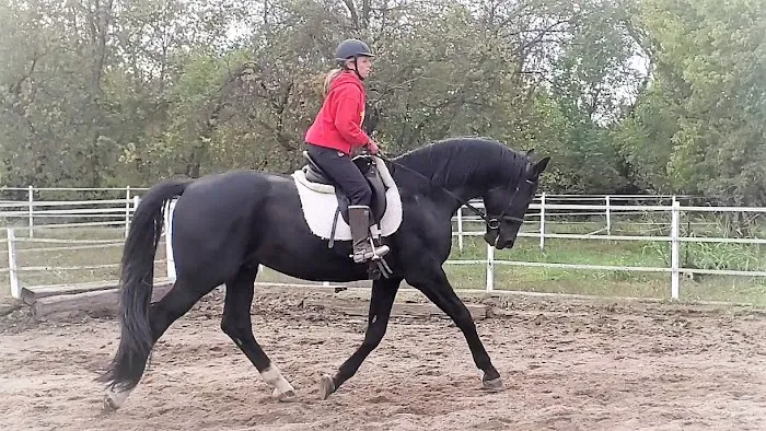 Kilkenny Kats Picture 4