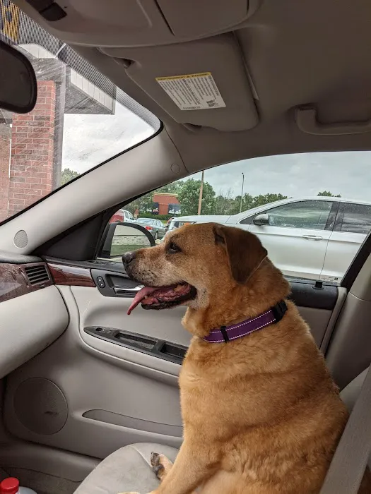 Paola Veterinary Clinic Picture 1