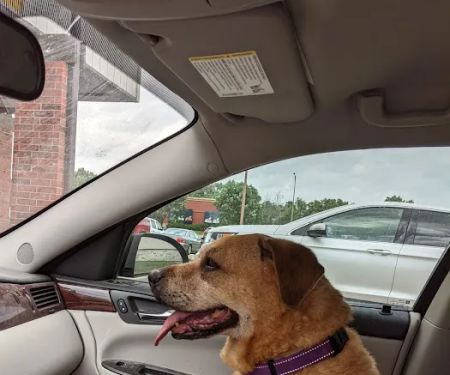 Paola Veterinary Clinic