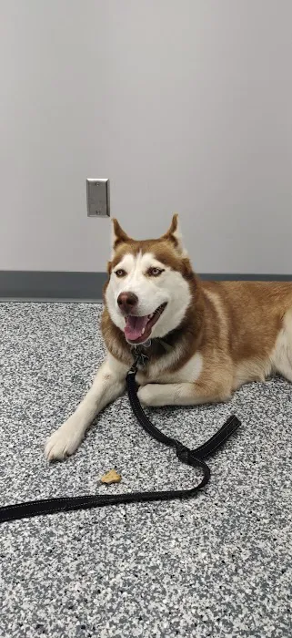 Paola Veterinary Clinic Picture 4