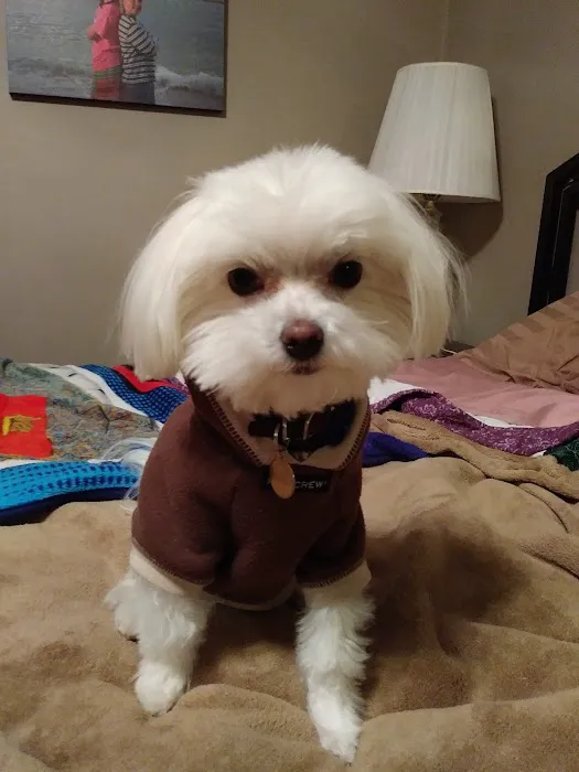 Paola Veterinary Clinic Picture 5