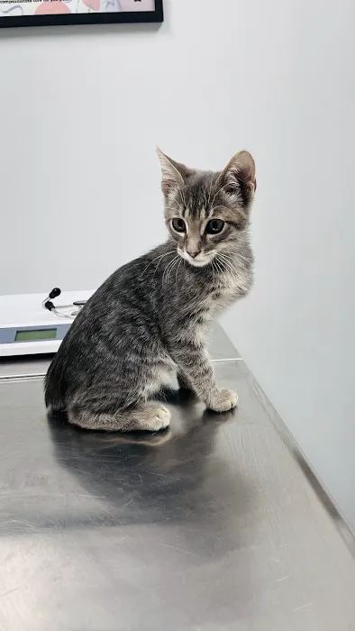 Paola Veterinary Clinic Picture 3