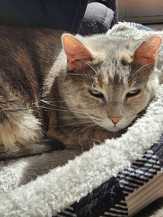 Paola Veterinary Clinic Picture 2