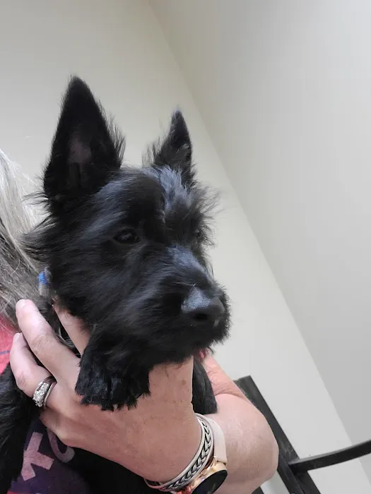 Paola Veterinary Clinic Picture 6