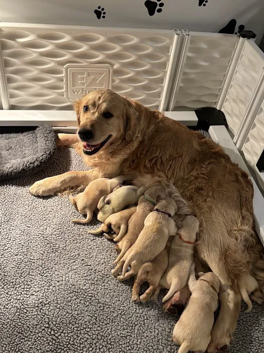 Paola Veterinary Clinic Picture 7