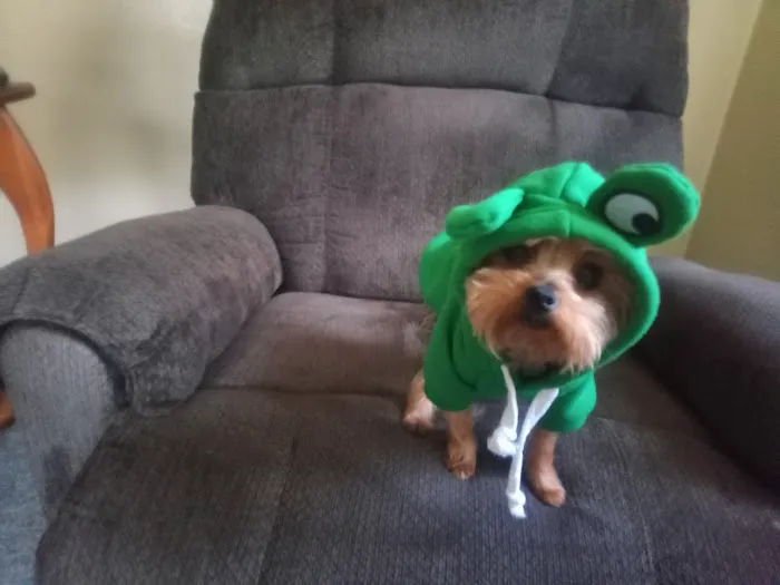 Miami Veterinary Clinic Picture 1