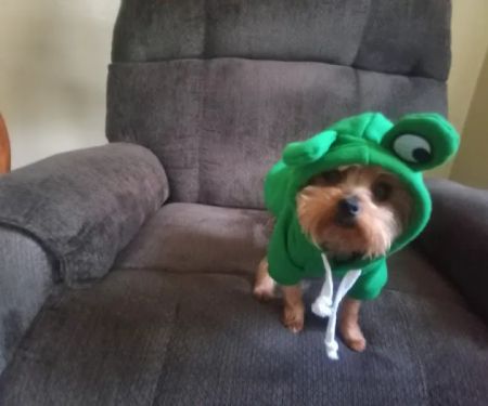 Miami Veterinary Clinic