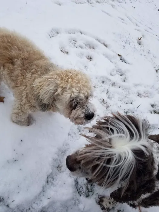 Osawatomie Pet Clinic Picture 4