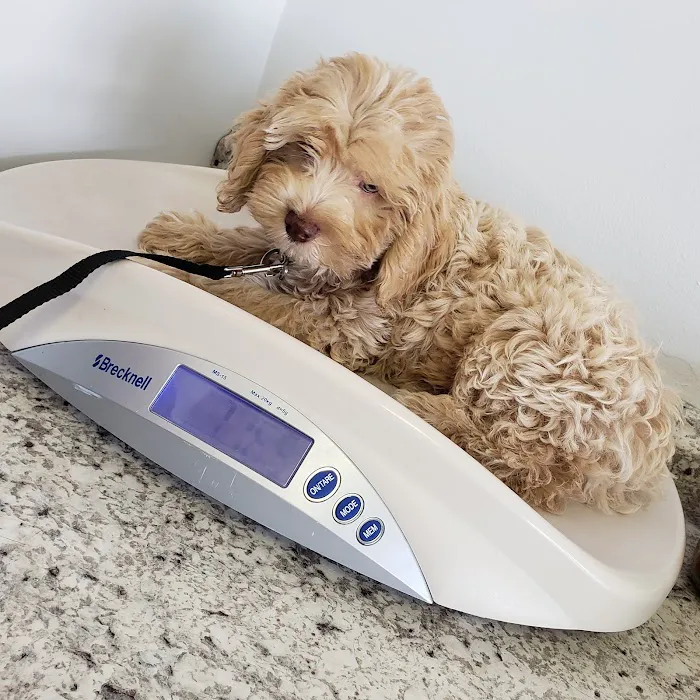 Osawatomie Pet Clinic Picture 5