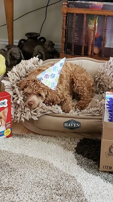 Osawatomie Pet Clinic Picture 3