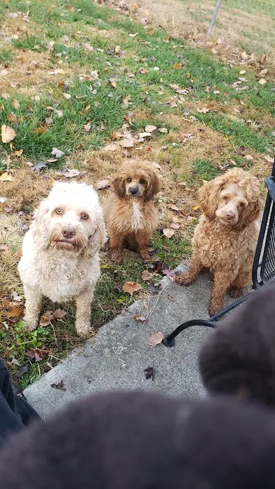 Osawatomie Pet Clinic Picture 7