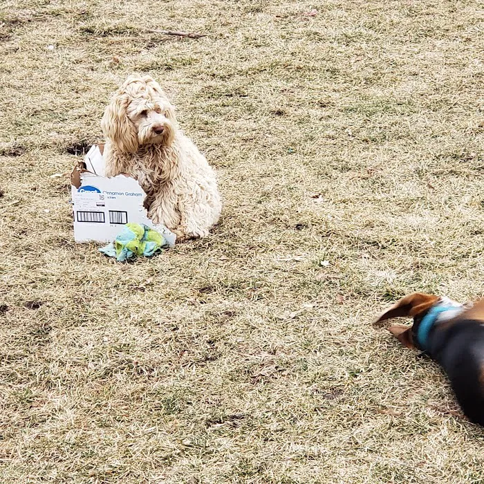 Osawatomie Pet Clinic Picture 8