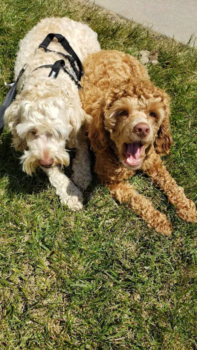 Osawatomie Pet Clinic Picture 9