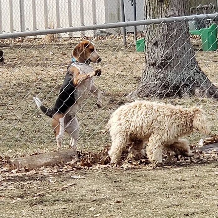 Osawatomie Pet Clinic Picture 10